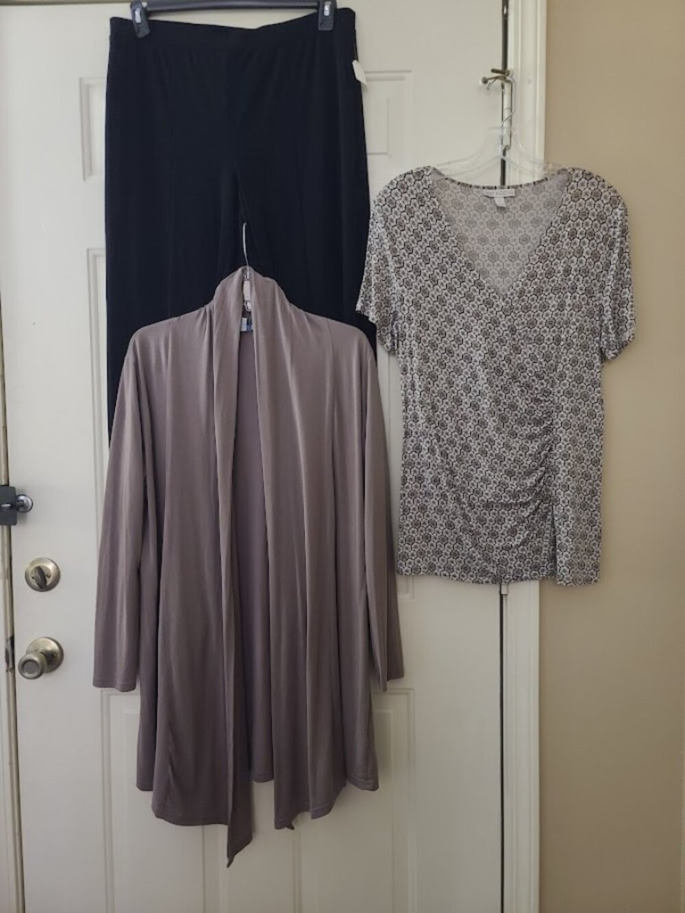3 Piece Outfit Dana Bushman, She & Sky, and Chico Pants